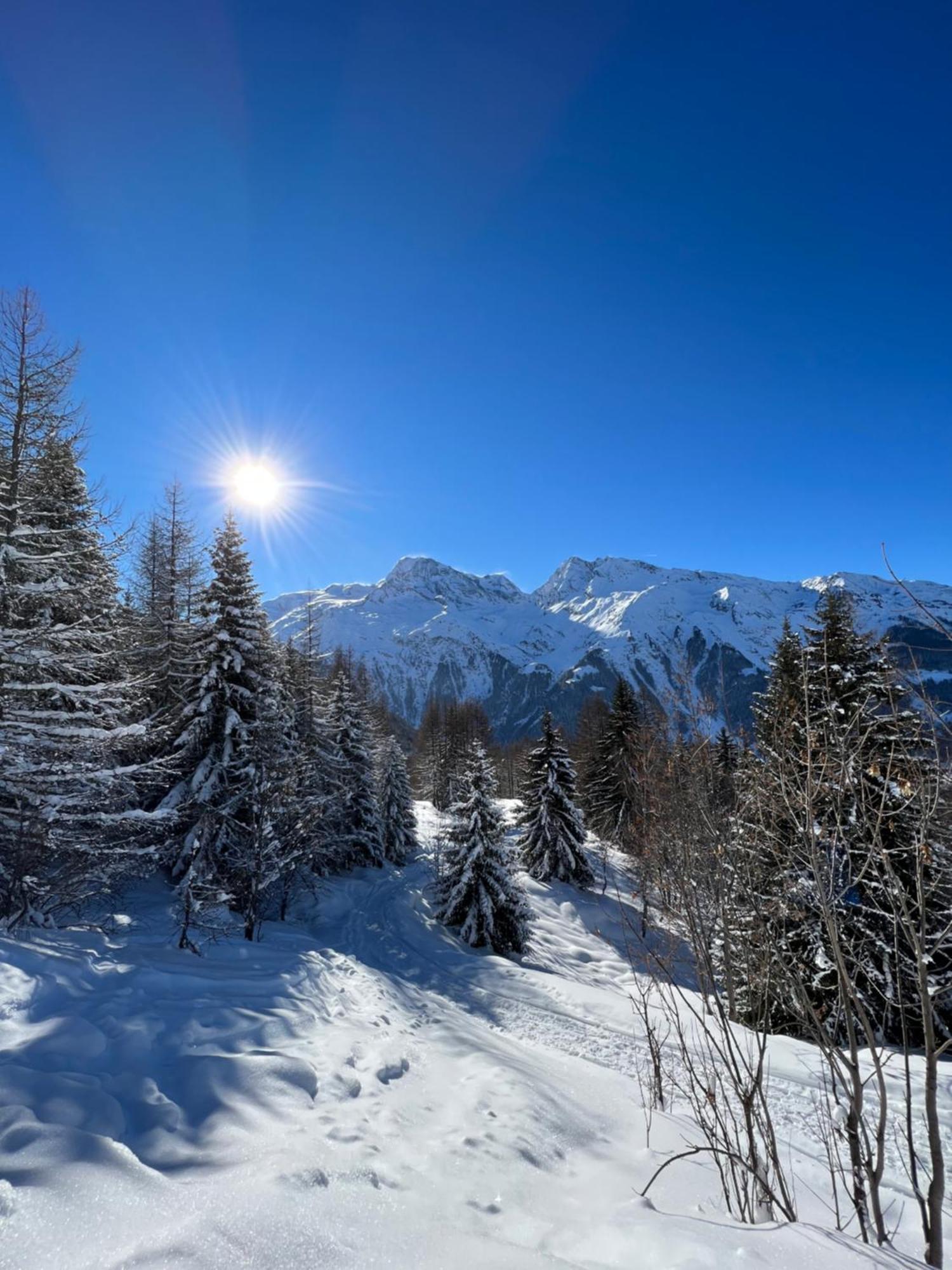 Chalet Altus Sainte-Foy-Tarentaise Exteriér fotografie