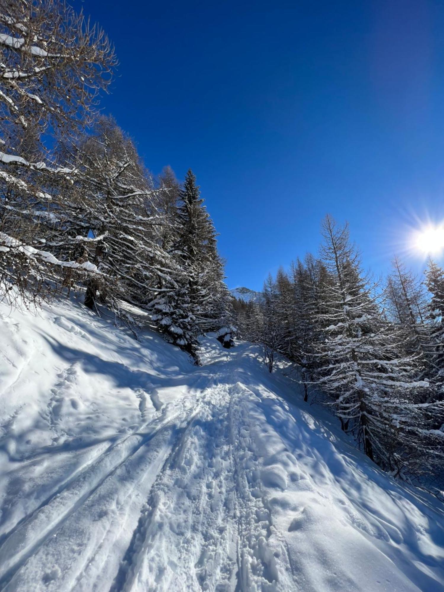 Chalet Altus Sainte-Foy-Tarentaise Exteriér fotografie